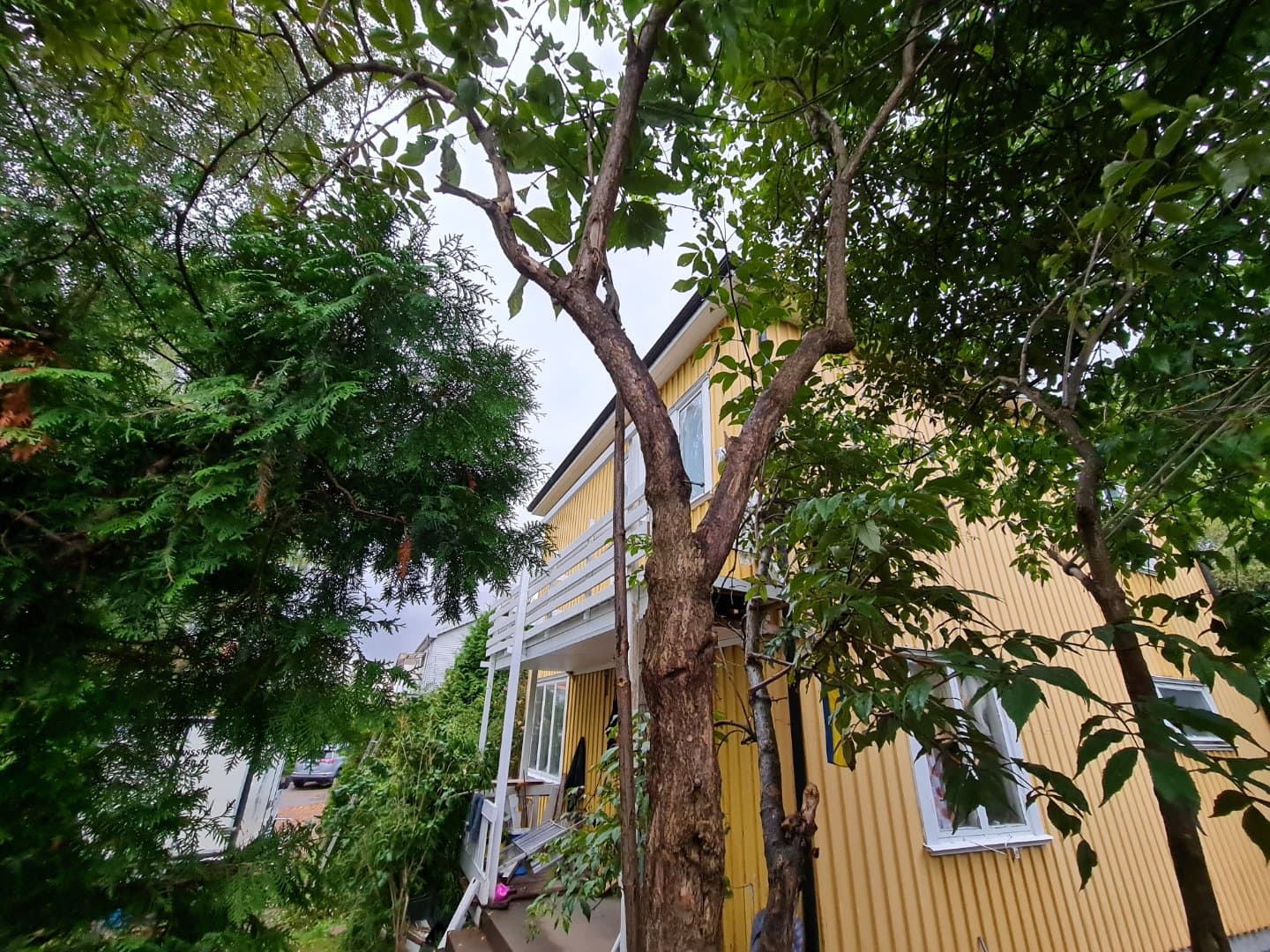 Skrågatan 19